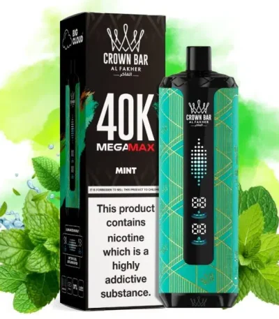 al-fakher-mega-max-40000-puffs-mint-disposable-vape